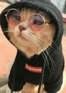 Стикер Самые ах*енные стикеры - @AniPics_bot - 4