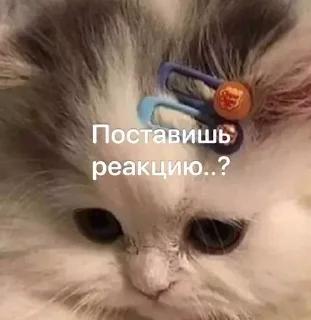 Sticker Больше стикеров: @sticerru - 2