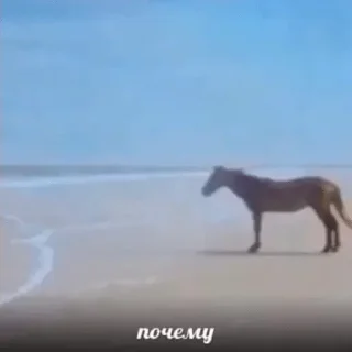 Sticker Больше стикеров 👉🏻 @stickertg4 - 8