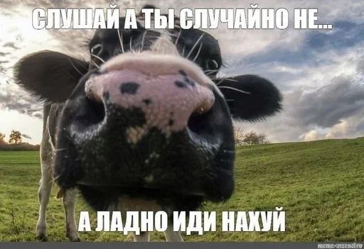 Sticker fEPzXRTQsHwBQOkyc_by_stickers_stealer_bot - 1