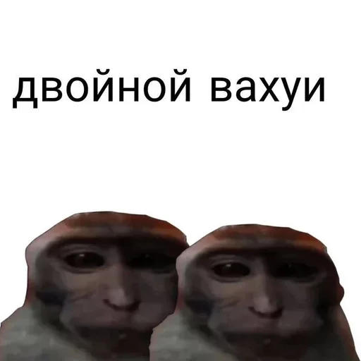 Стикер fEPzXRTQsHwBQOkyc_by_stickers_stealer_bot - 1