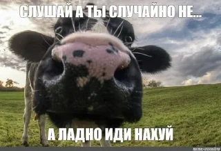 Стикер Больше стикеров: @sticerru - 11