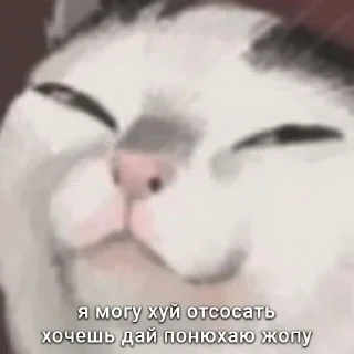 Sticker Больше стиков тут: @stikiin - 7