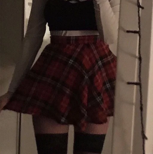 одежда юбка сделанный из шотландки