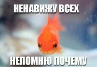 Sticker Больше стиков тут: @stikery4 - 8