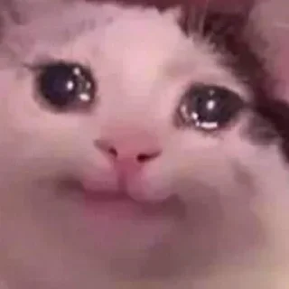 Sticker Больше стикеров: @sticerru - 11