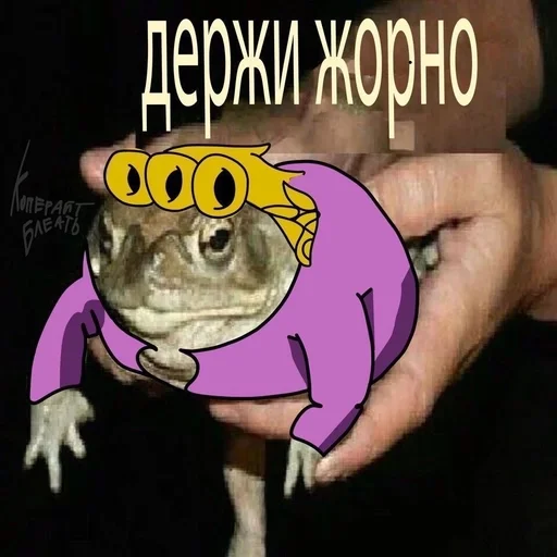 СМС лягушка мультфильм