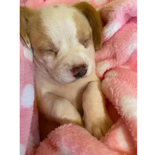 Sticker fVlqyfdLKJKikCciKO_by_stickers_stealer_bot - 1