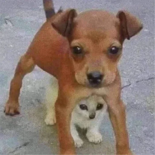 Sticker fVlqyfdLKJKikCciKO_by_stickers_stealer_bot - 1