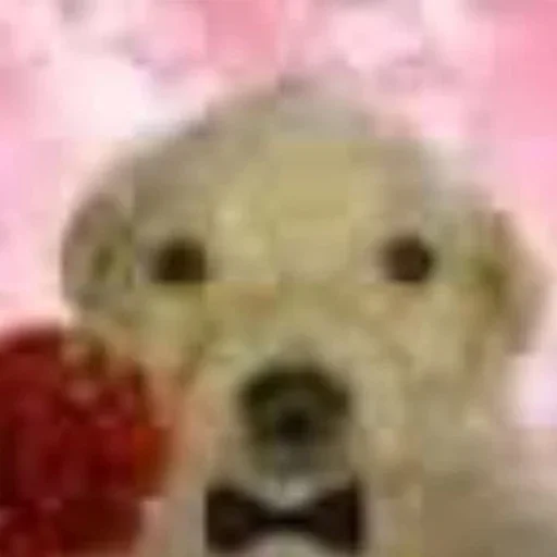 Стикер fVlqyfdLKJKikCciKO_by_stickers_stealer_bot - 1