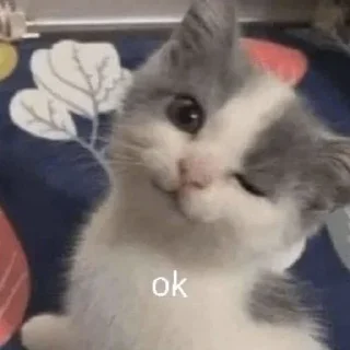 Sticker Больше стикеров: @sticerru - 1