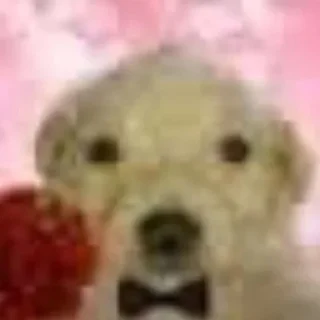 Sticker Больше стикеров: @sticerru - 2