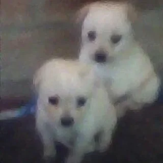 Sticker Больше стикеров: @sticerru - 8