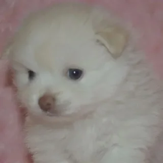 Sticker Больше стикеров: @sticerru - 0