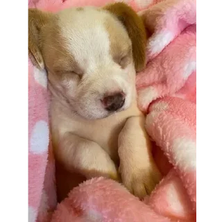 Sticker Больше стикеров: @sticerru - 7