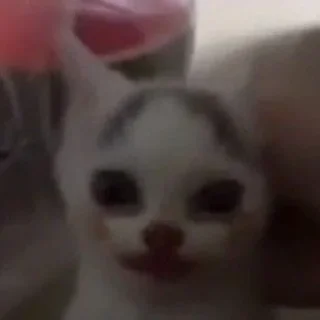 Sticker Больше стикеров: @sticerru - 11