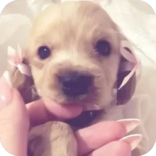 Sticker Больше стикеров 👉🏻 @stickertg4 - 7