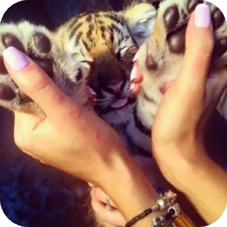 Sticker Больше стикеров 👉🏻 @stickertg4 - 5