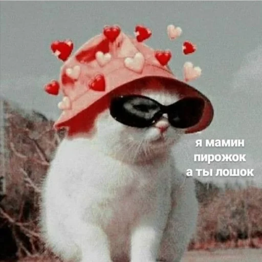 Sticker Favorite stickers :: @fStikBot - 10