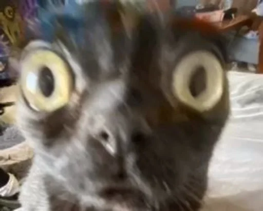 Favorite stickers :: @fStikBot - animal