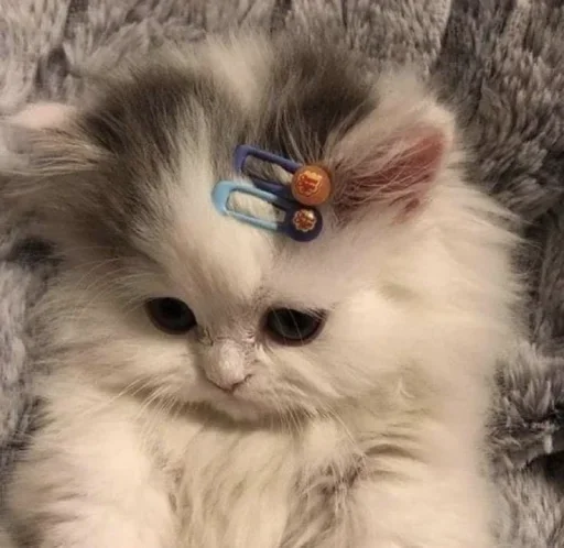 Sticker Favorite stickers :: @fStikBot - 11