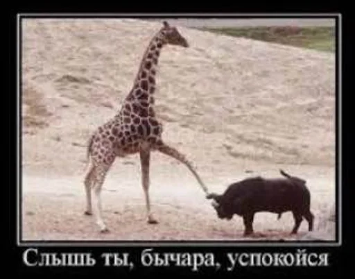 Sticker Favorite stickers :: @fStikBot - 5