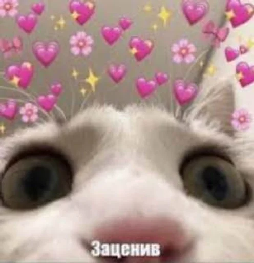 Sticker Favorite stickers :: @fStikBot - 4