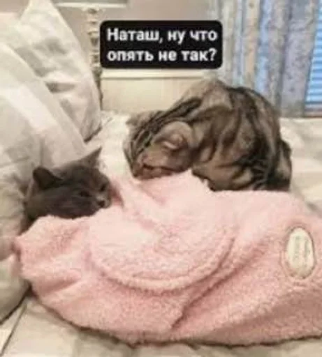 Sticker Favorite stickers :: @fStikBot - 0