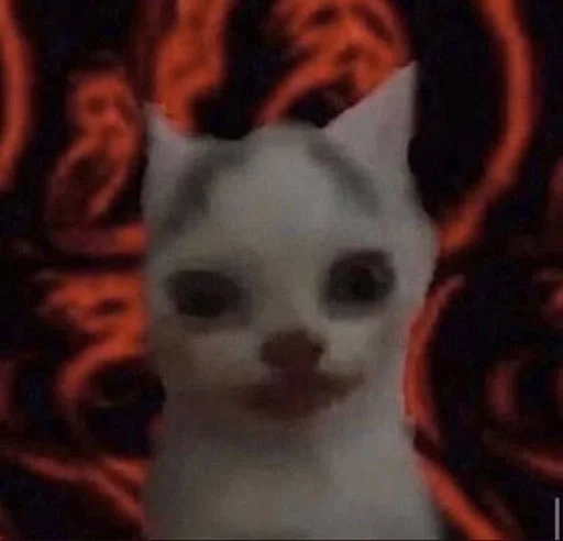 животное млекопитающее домашняя кошка