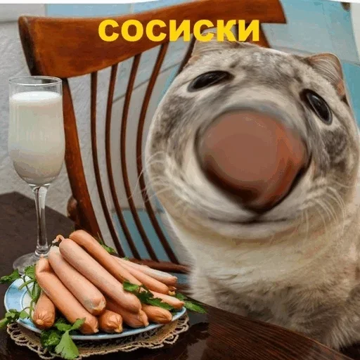 животное морковь пища