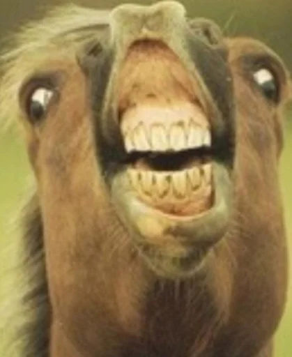 Стикер Favorite stickers :: @fStikBot - 4