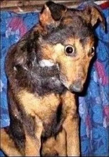 Стикер Favorite stickers :: @fStikBot - 3