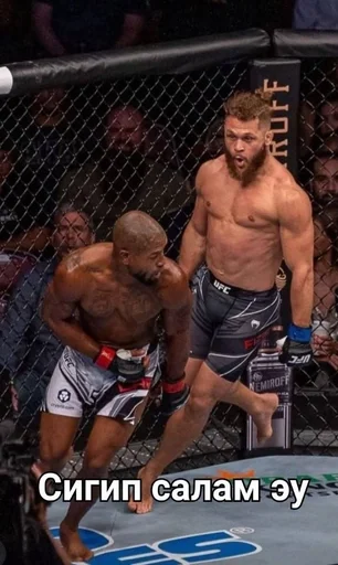 Sticker Favorite stickers :: @fStikBot - 0