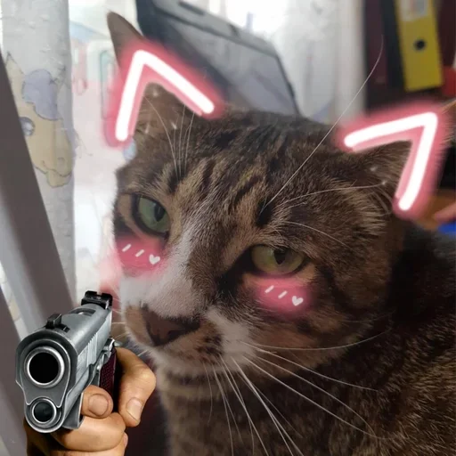 кошка животное млекопитающее