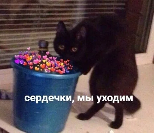 Favorite stickers :: @fStikBot - animal