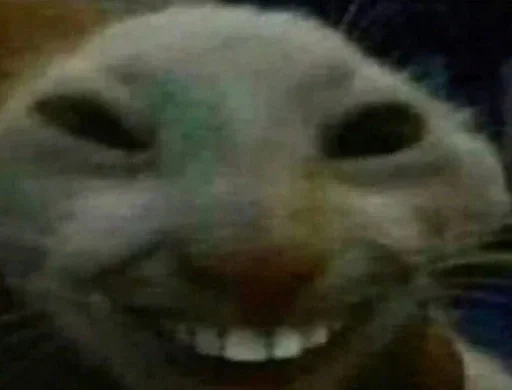 Sticker Favorite stickers :: @fStikBot - 10