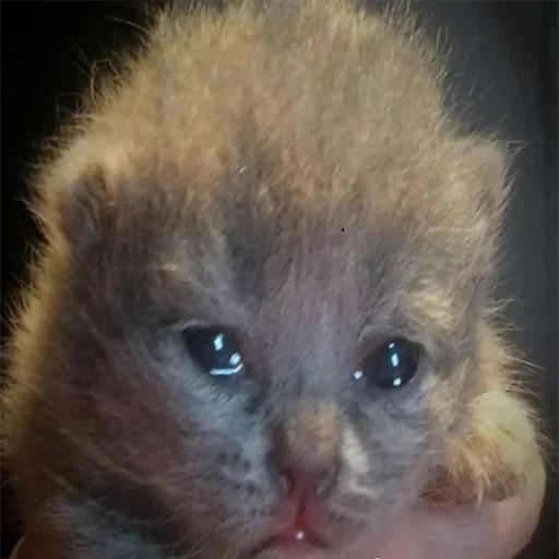 Sticker Favorite stickers :: @fStikBot - 1