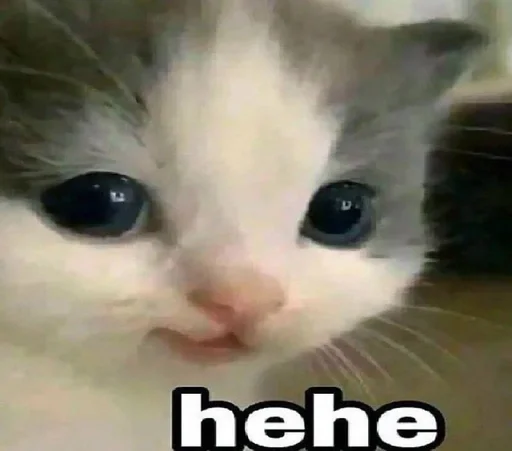 Favorite stickers :: @fStikBot - животное