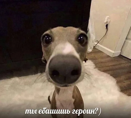 Sticker Favorite stickers :: @fStikBot - 0