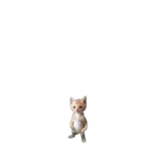 кошка животное млекопитающее