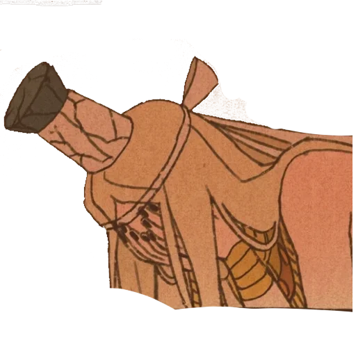 рисование эскиз искусство