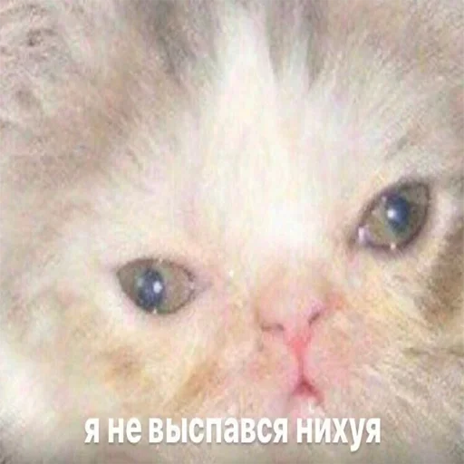 Sticker Favorite stickers by @fStikBot - 8