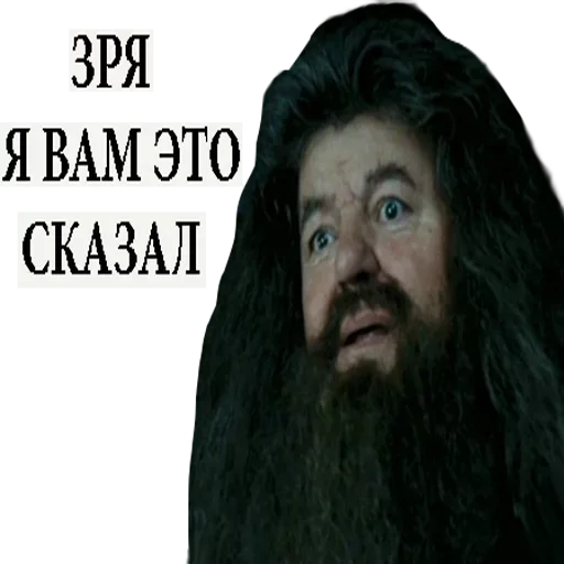 human beard human face man