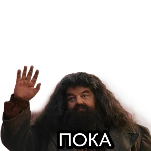 human face human beard text