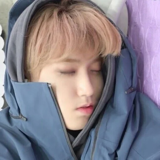 Человек человеческое лицо одежда