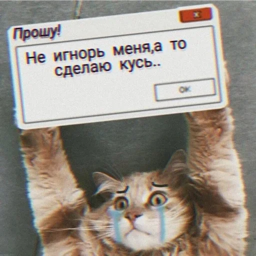 СМС животное кошачьи