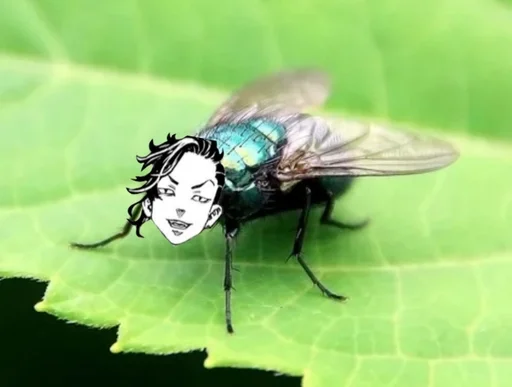 животное вредитель мембранно-крылатое насекомое