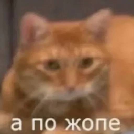 Стикер Favorite stickers :: @fStikBot - 6