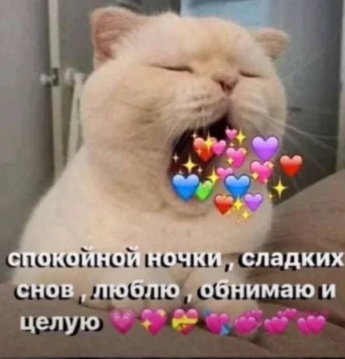 СМС млекопитающее кошачьи