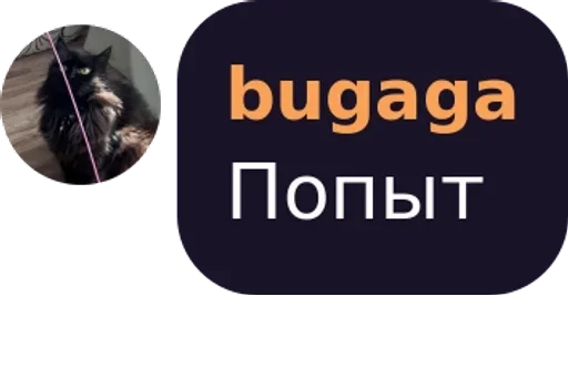 text screenshot graphics